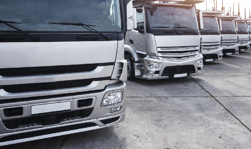 Transportes Terrestres